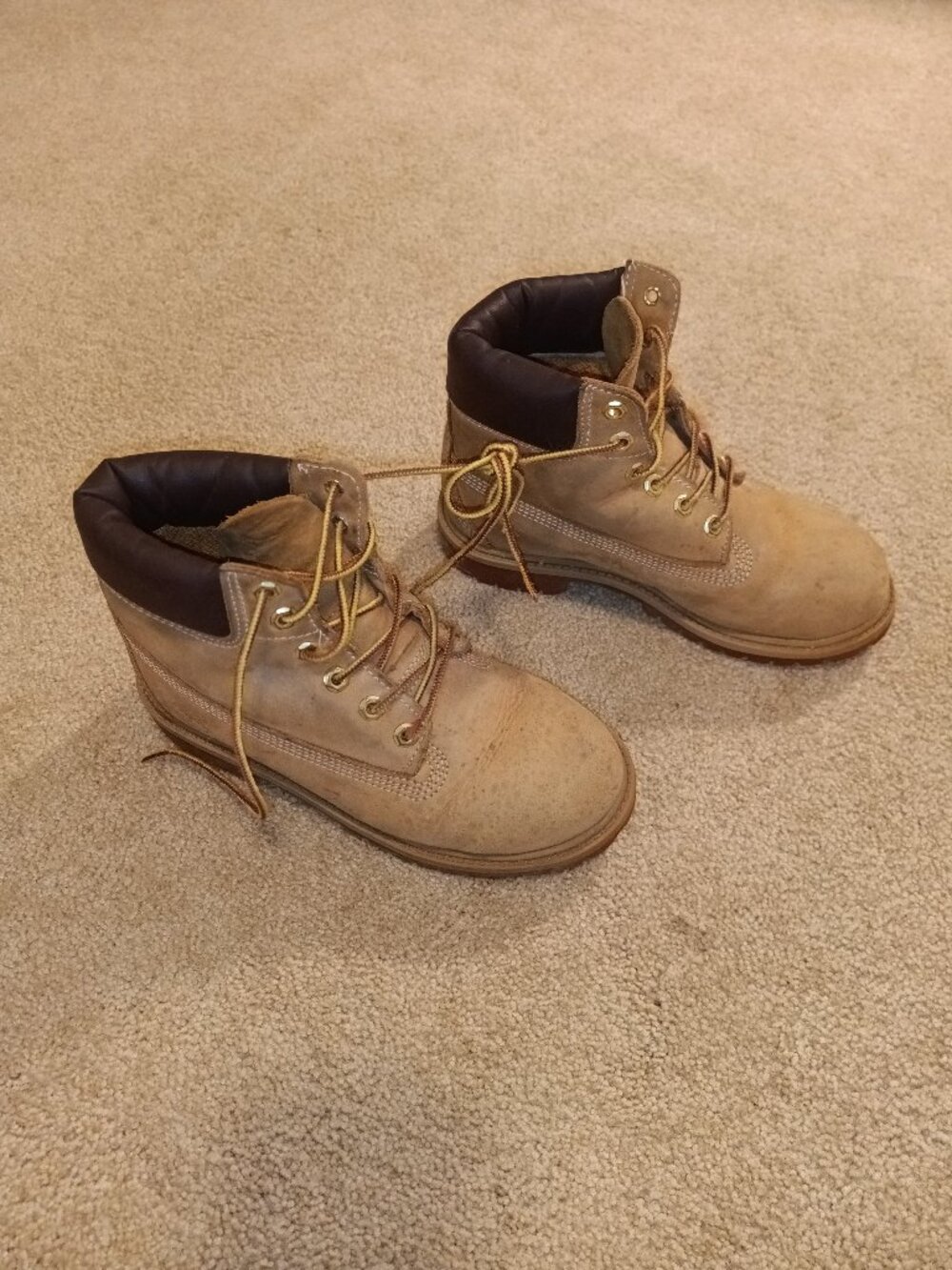 Timberland Premium 6 Inch Boots (Kids 2M)